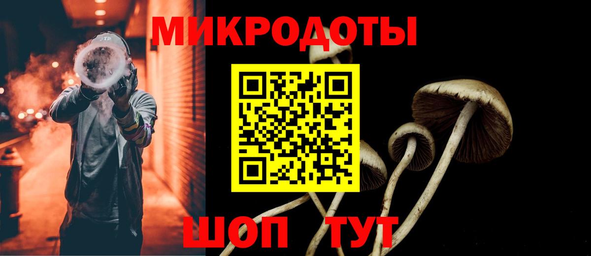 Нововоронеж  закладка  Псилоцибиновые грибы Cubensis  Вход с VPN  Галлюциногенные грибы ЛСД 